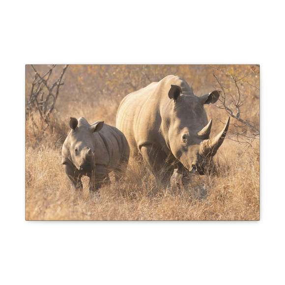 White Rhino Hunting White Rhino on Hunt Print Animal Wall Art Wildlife Canvas Pr